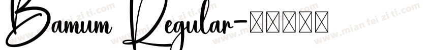 Bamum Regular字体转换